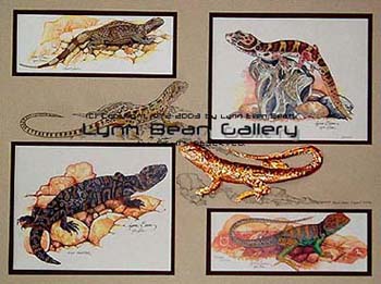 Amphibians Remarque 18x24 01.