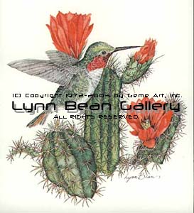 Anna's Hummingbird with Cactus.