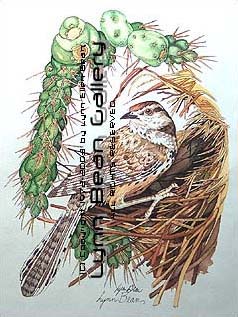 Cactus Rhen At Nest.