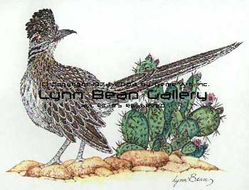 Roadrunner with Cactus.