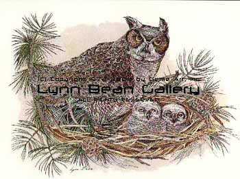 Great Horned Owl With Babies.