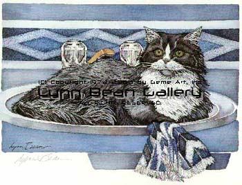 Black-and-white Cat in Sink.