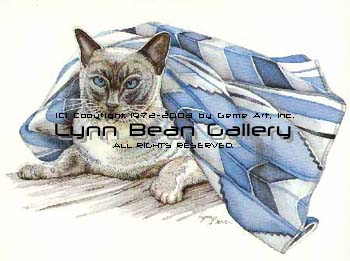 Siamese Cat with Blanket.