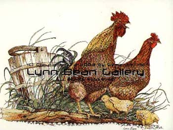 Chickens with Bucket.