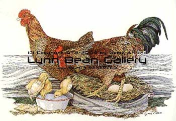 Chicks on Water Pan.