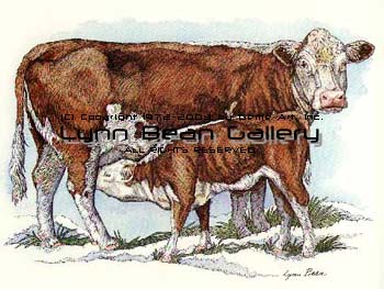 Hereford Cow with Calf.