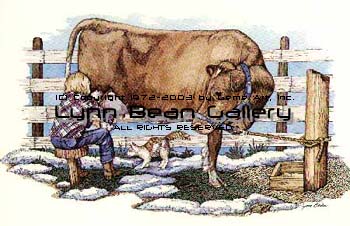 Milking Guernsey Cow.