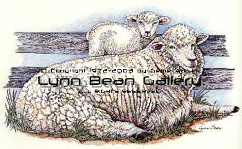 Mother and Baby Sheep.