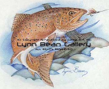 Brown Trout with Fly.