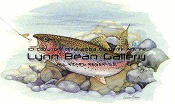 Rainbow Trout with Lure.