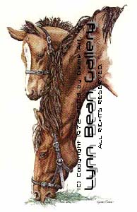 Quarter Horse and Colt.