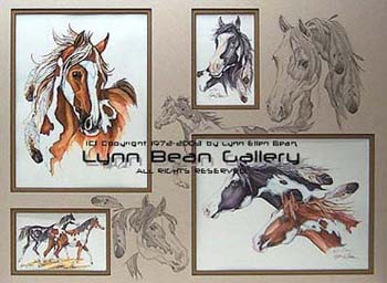 HORSES, EQUESTRIAN Remarque 18x24 01.