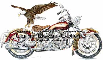 1955 Harley-Davidson Hydra Glide.