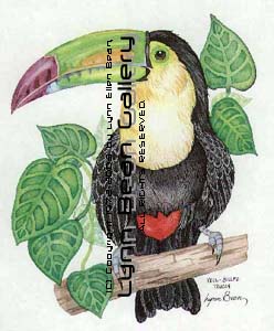 Keel-Billed Toucan.