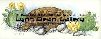 Desert Tortoise with Prickly Pear Cactus.