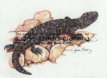 Hela Monster Lizard.