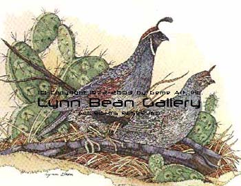 Gamble Quail.