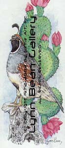 Gamble Quail, Vertical on Cactus.