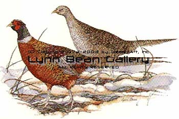 Pheasants Facing Left.