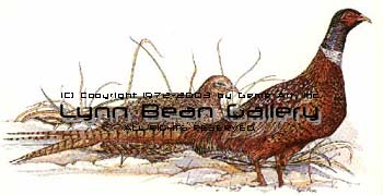 Pheasants Facing Right.