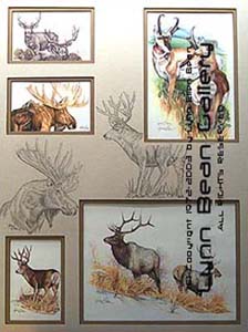 WILD ANIMALS, LARGE Remarque 18x24 01.